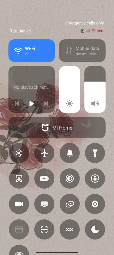 The Rose of Spring screenshot