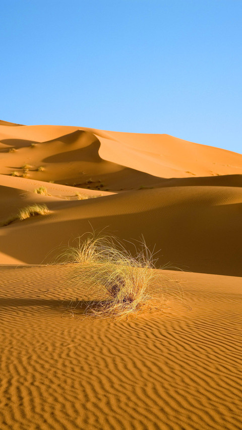 Rare high temperatures occur in many parts of the earth screenshot