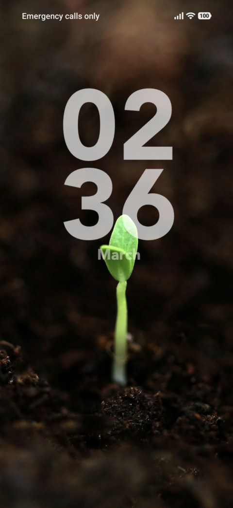Root screenshot