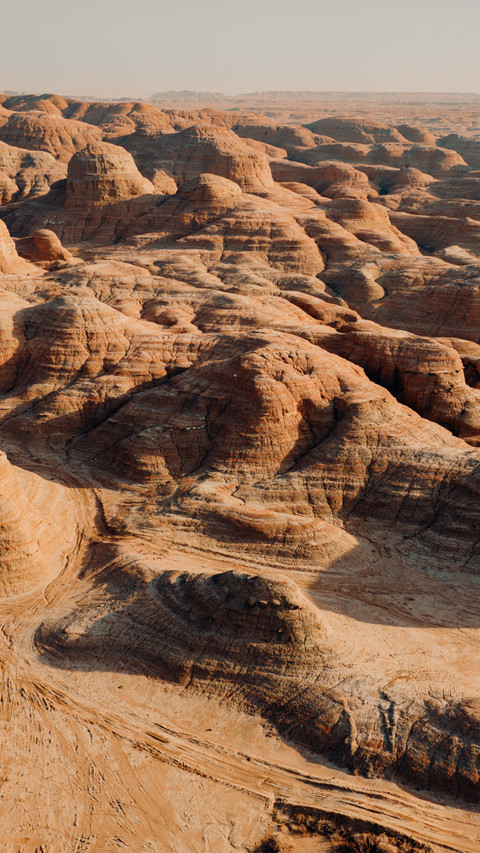 In the vast desert, the sandstorm escorts the travelers screenshot