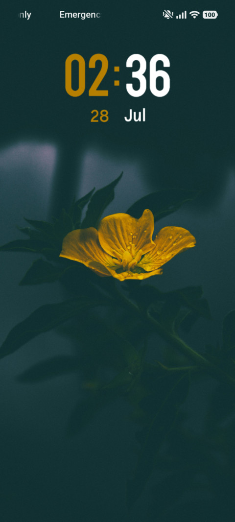 Flower Petal screenshot