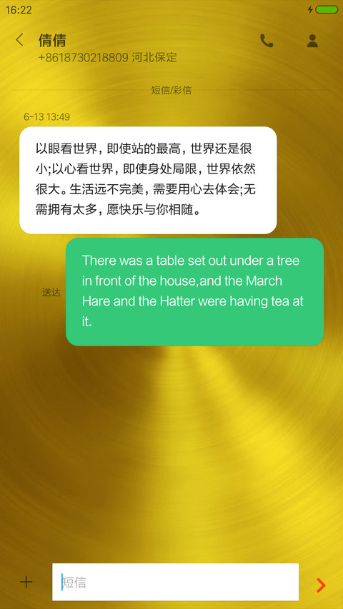 金佛（3D图标版） screenshot