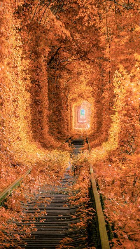 Railway and Tunnel from Trees in Autumn Colors screenshot