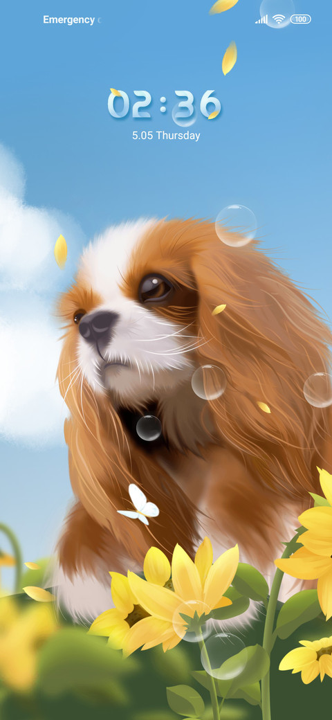 Charlie dog screenshot