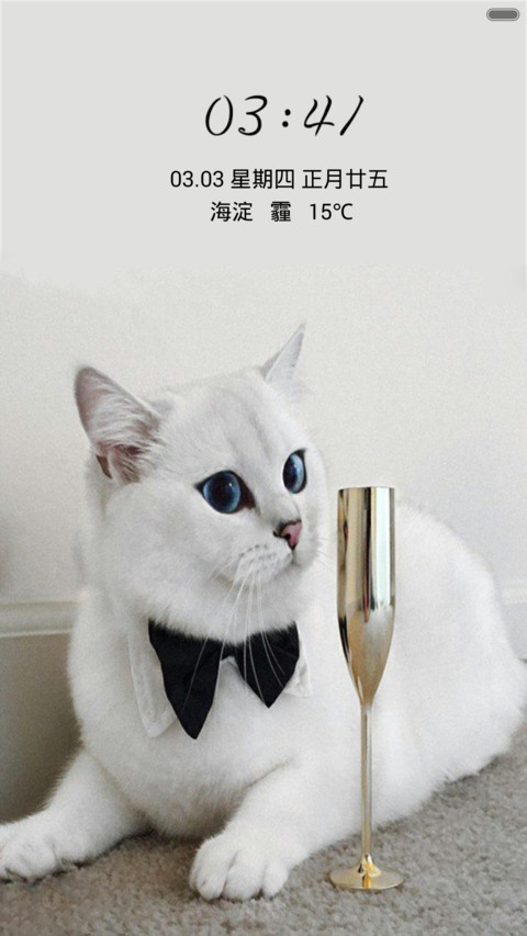 可爱猫咪（音乐锁屏+全图标） screenshot