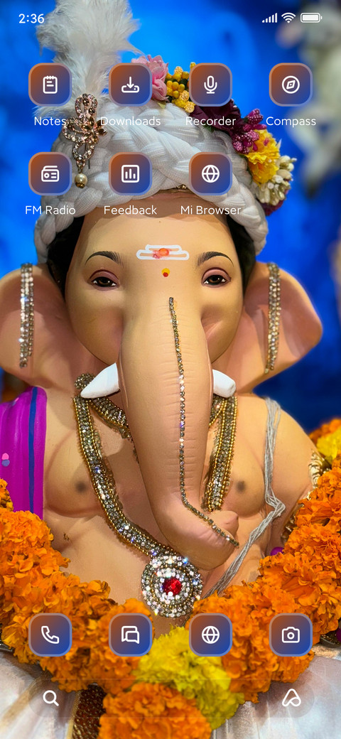 Ganesh Festival screenshot