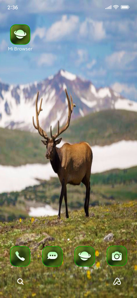 Wildlife nine screenshot
