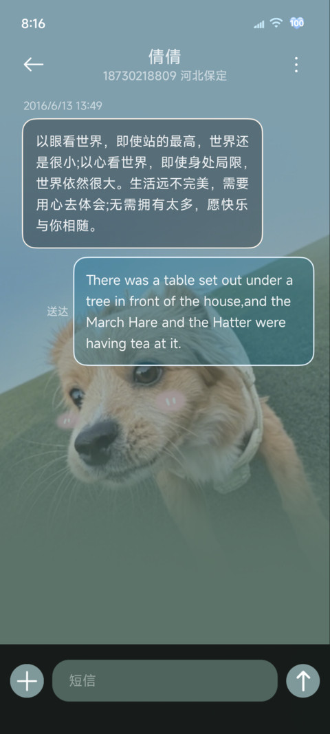 ins风 自由小狗 screenshot
