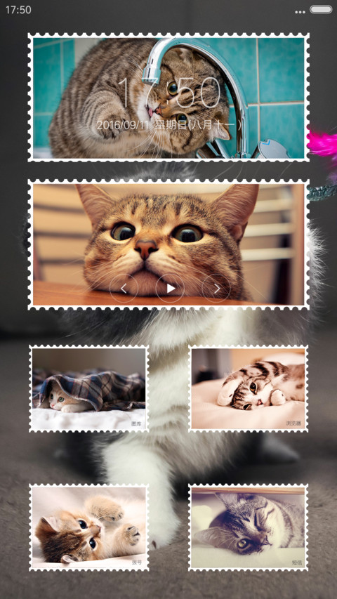 呆萌小猫咪 screenshot