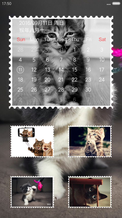 呆萌小猫咪 screenshot