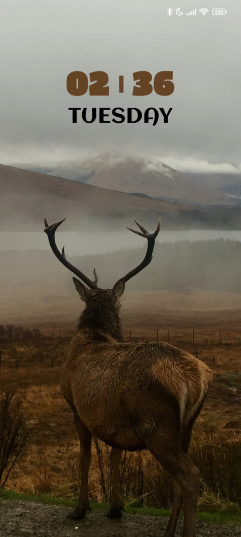 Hill Deer screenshot