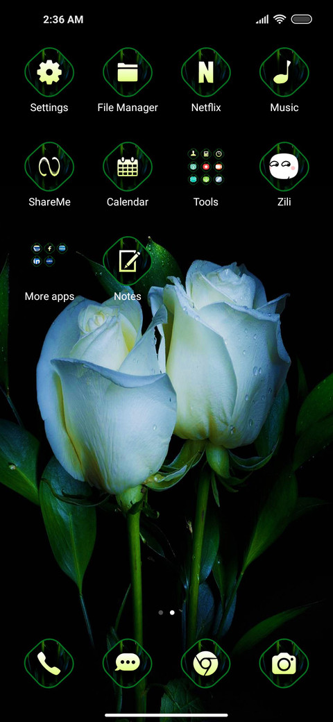 Rose view screenshot