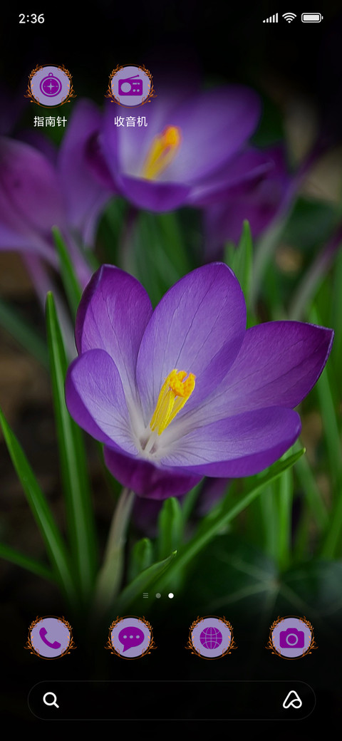 Crocus_3MDP screenshot