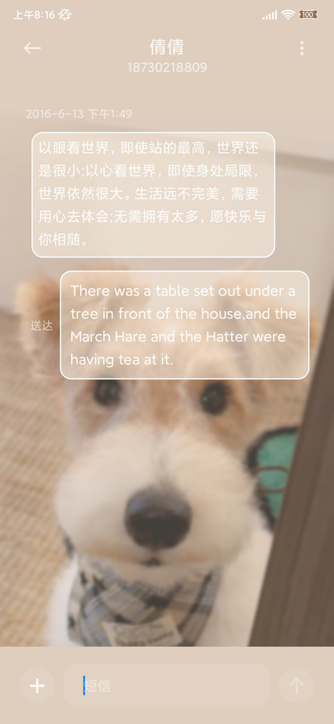 ins小狗开门系我 screenshot