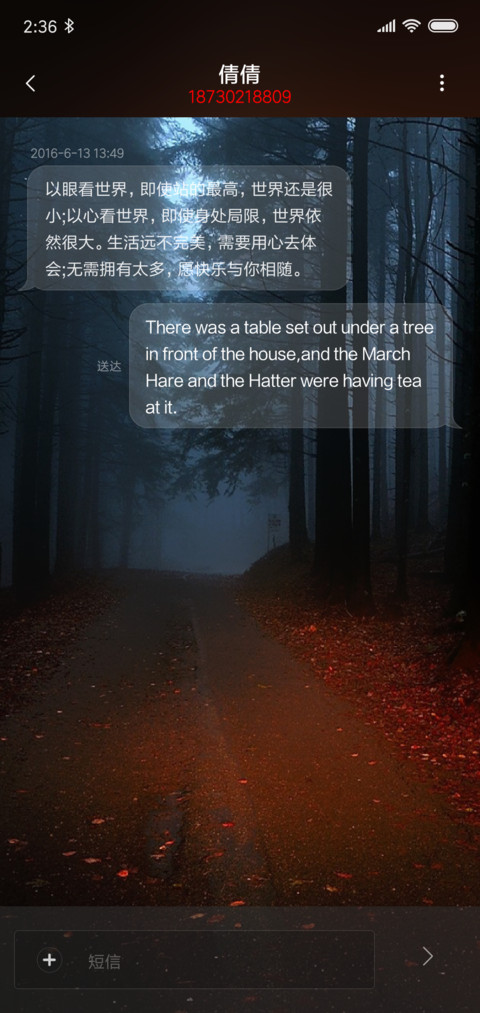 Simple style V10 screenshot