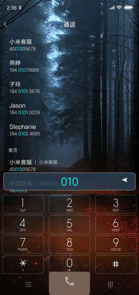 Simple style V10 screenshot