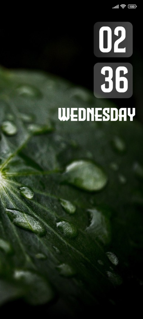Leaf Drops screenshot