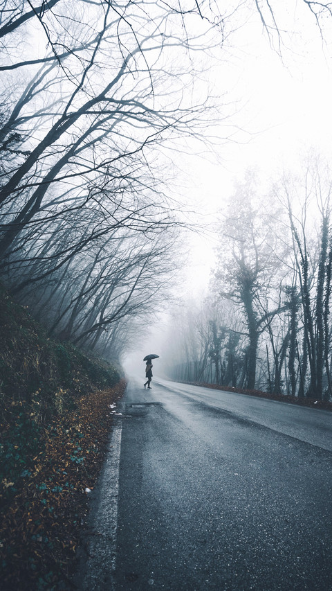 road (8) screenshot