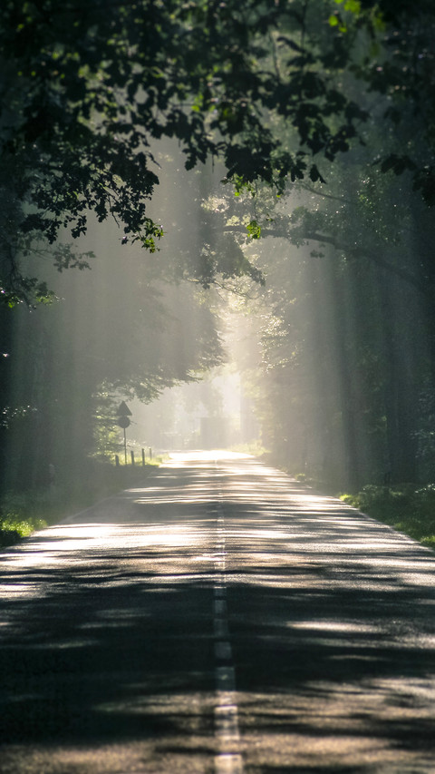 road (11) screenshot