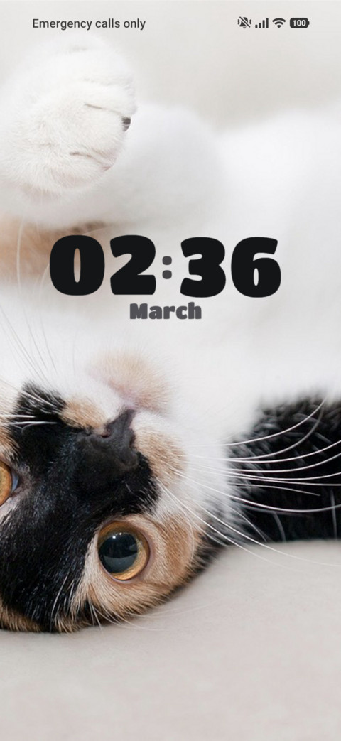 Fluffy Paws screenshot