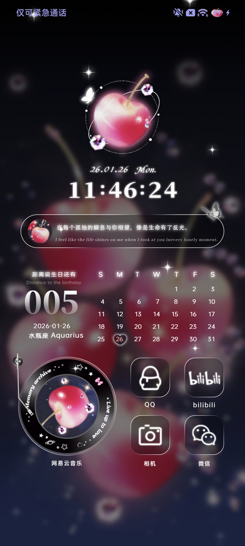 爱藏匿于红宝石 screenshot