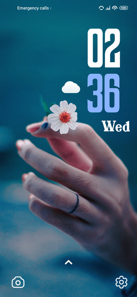 Hand Flower screenshot