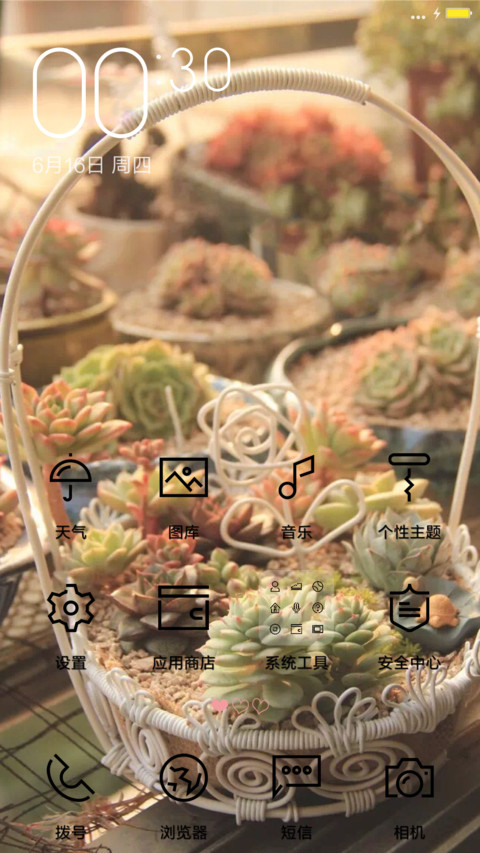 情不自禁爱上多肉植物。 screenshot