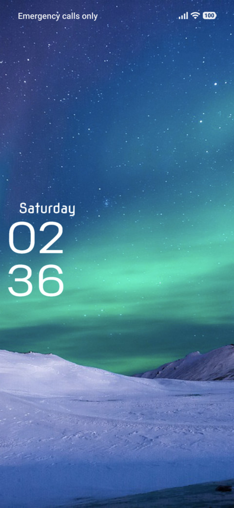 Palm Sky screenshot