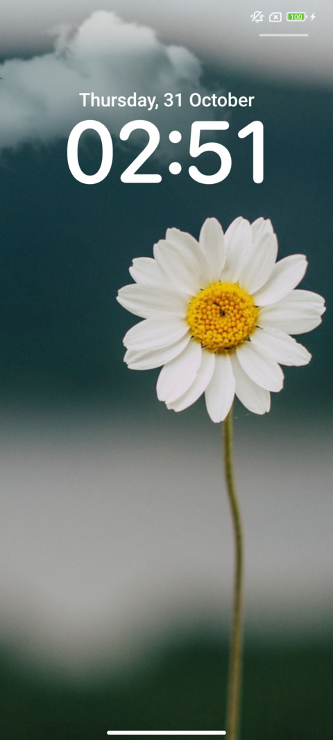 Flowers Project screenshot