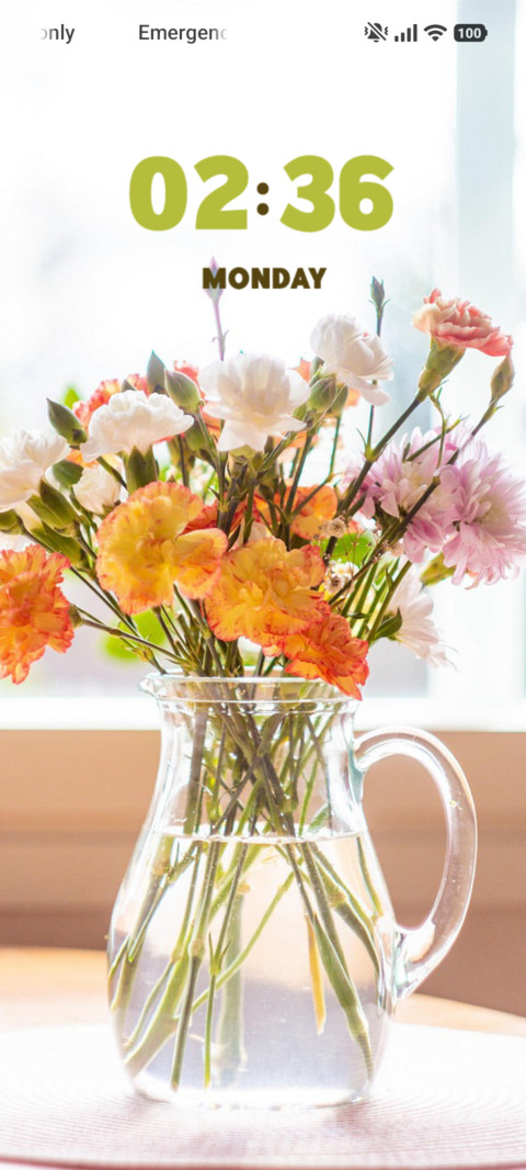 Spring Vase screenshot