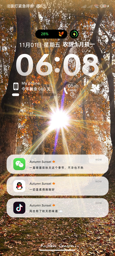 丁达尔光 秋日枫叶 screenshot