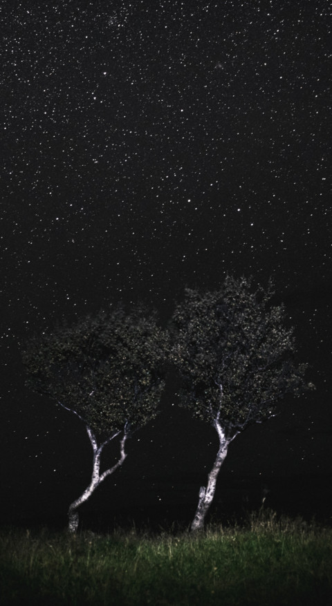 Mystery (43) screenshot