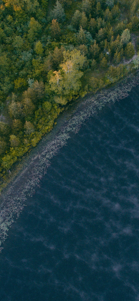View screenshot