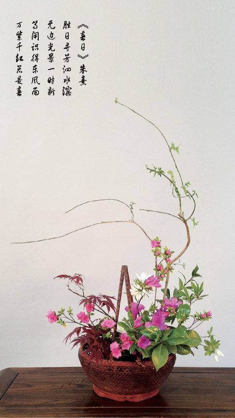 盛日寻芳 screenshot