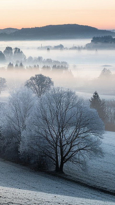 The misty atmosphere in winter is romantic screenshot