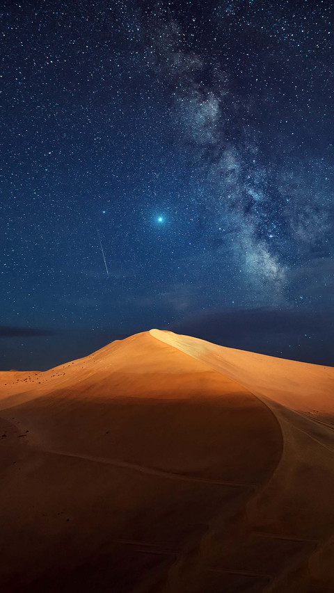 The self driving paradise of the silk road screenshot
