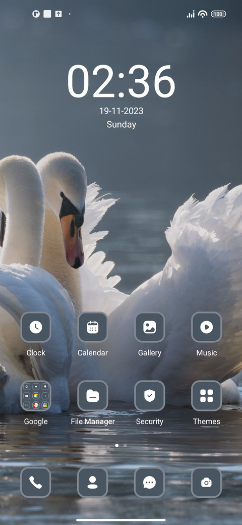 Swan screenshot