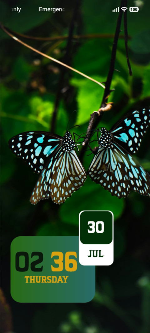 Butterfly screenshot