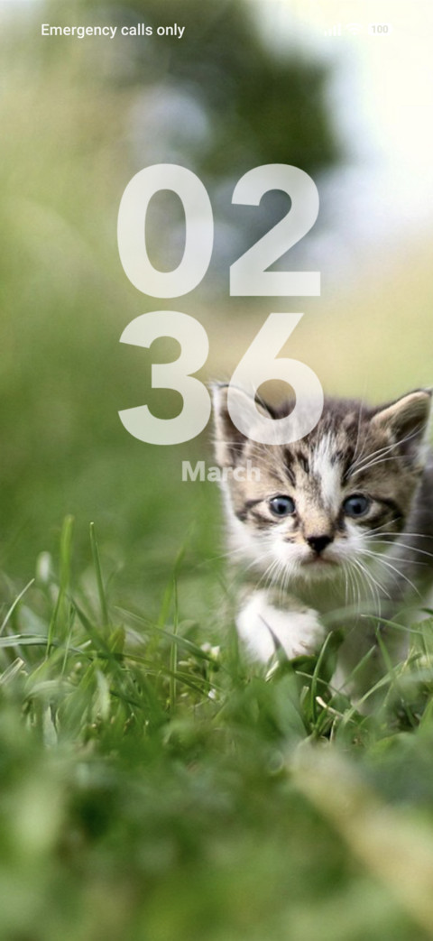 Green Cat screenshot