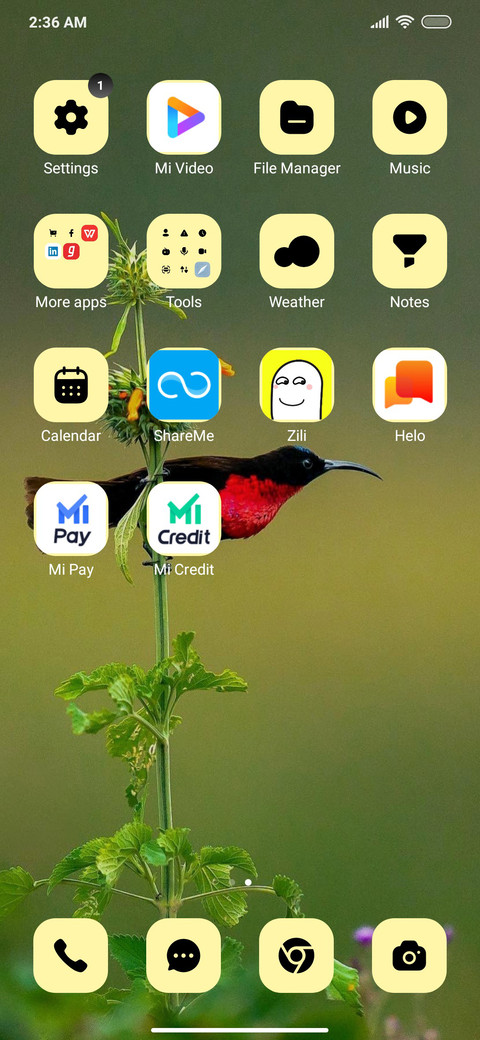 WildLife_6 screenshot