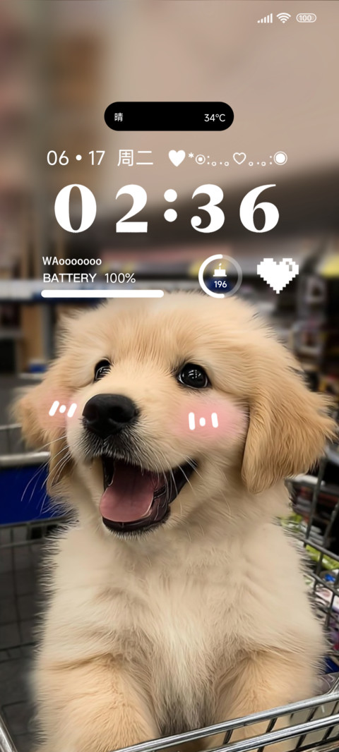 害羞小金毛ins screenshot