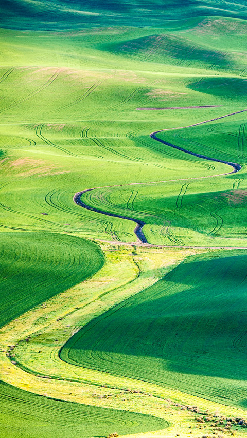 Green fields screenshot