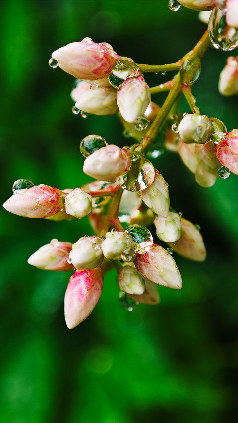 The rain falls in the southern sky screenshot