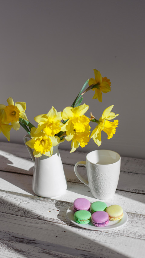 Daisy Delight, Dancing in Sunlight's Embrace screenshot