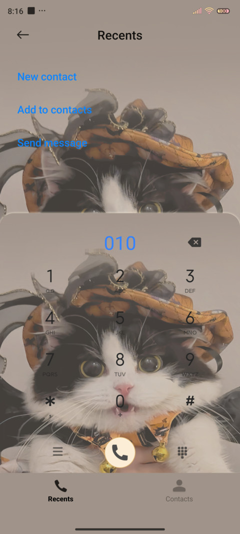 Cute Halloween cat screenshot