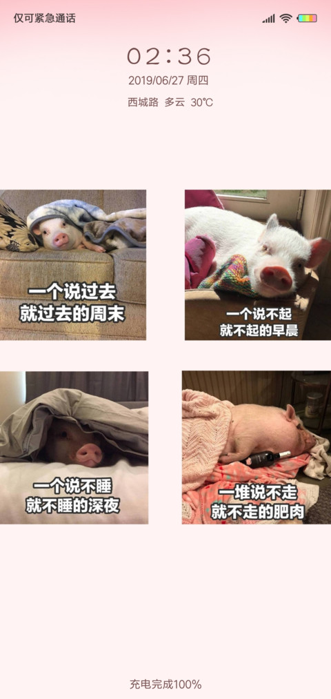 小猪的猪生G screenshot