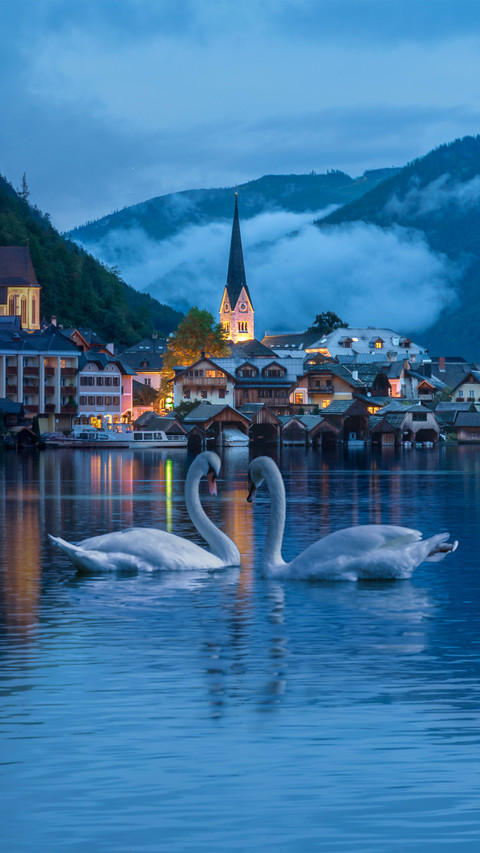 Austrian scenery and swans screenshot