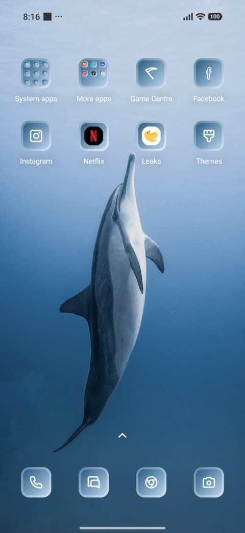Dolphin screenshot
