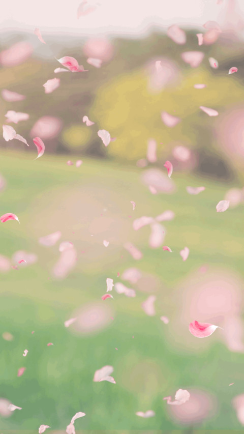 花瓣 screenshot