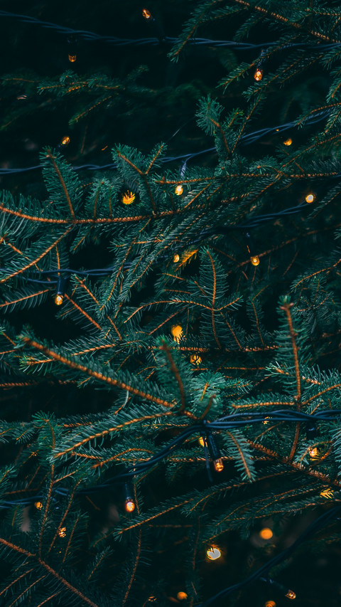 Tree Led screenshot